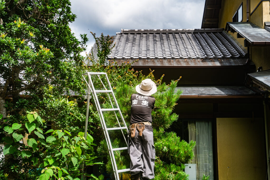 庭を整える庭師